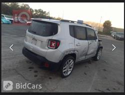 جيب رينيجيد